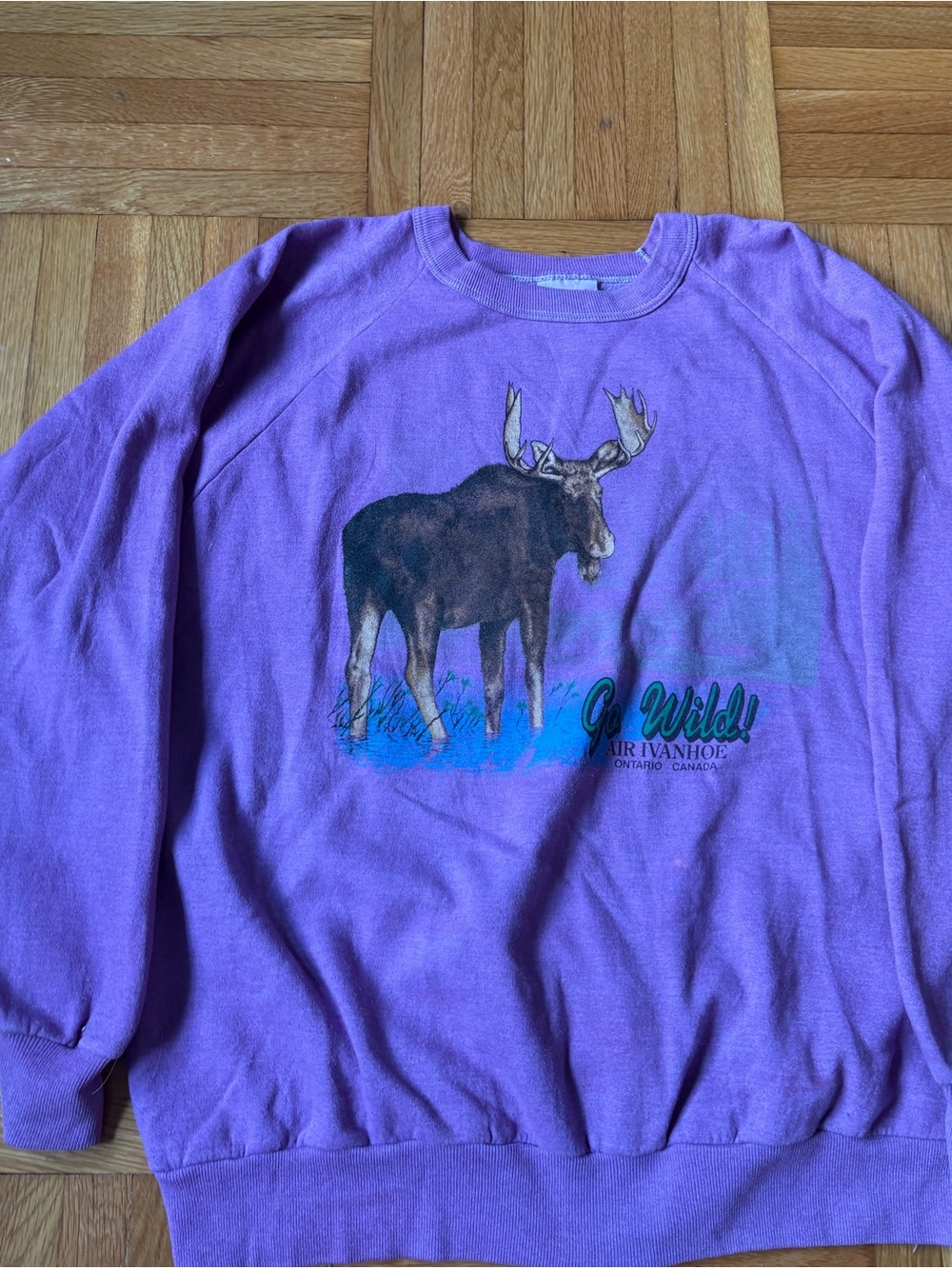 🫎 Canada moose 🫎